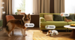 Scout Smart Camera for Pet - Image 4