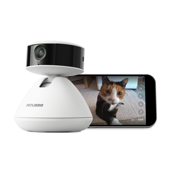 Scout Smart Camera for Pet