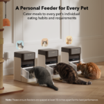 One RFID Smart Feeder For Pet Exclusive - Image 2