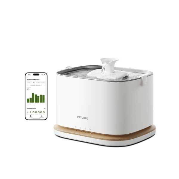 Dockstream 2 Smart Fountain Exclusive